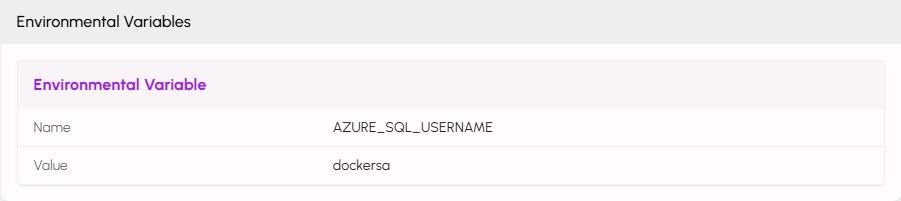 Containerized Apps Add Env Vars Name Value