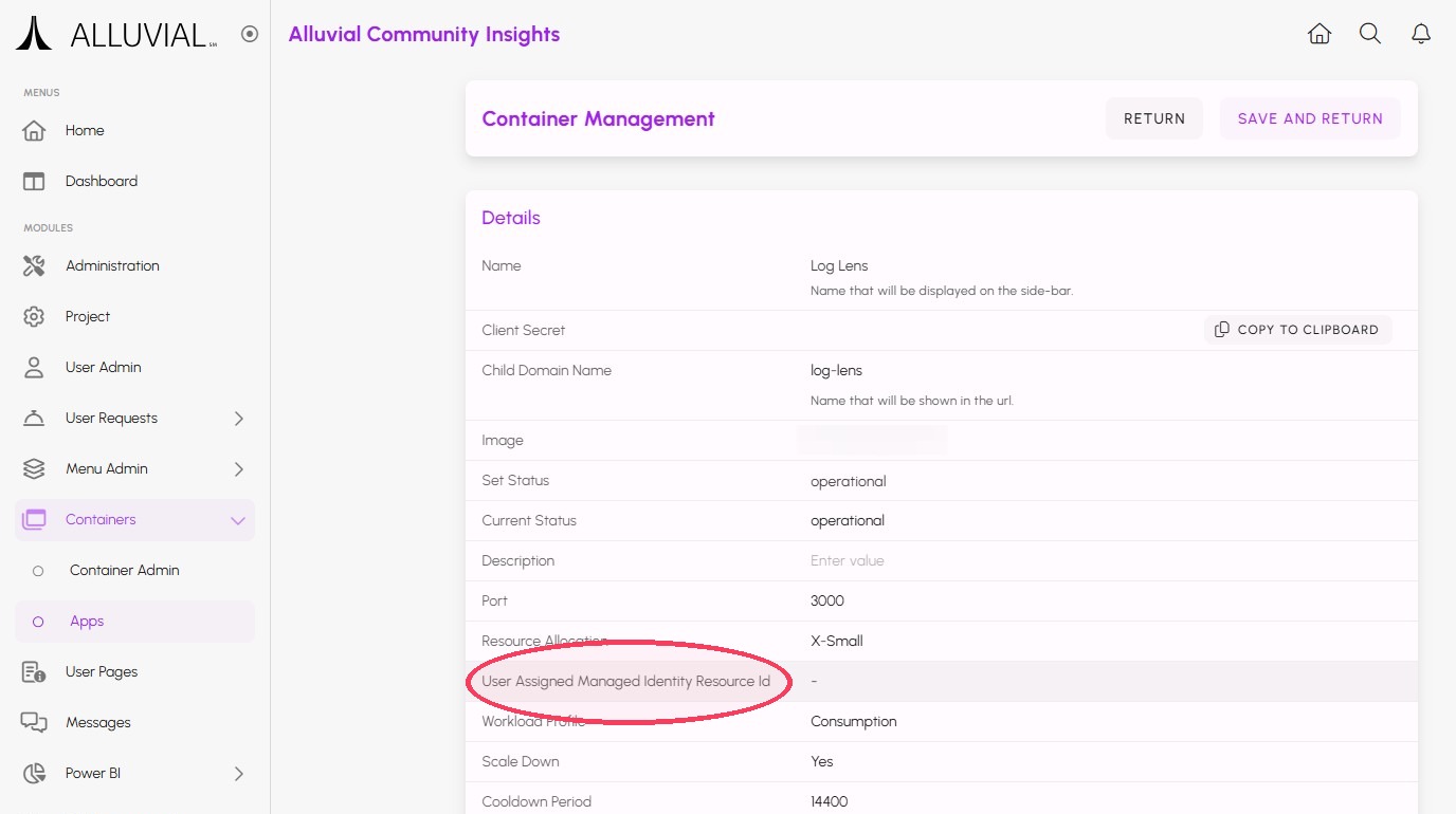 Containerized Apps Container App Managed Ids